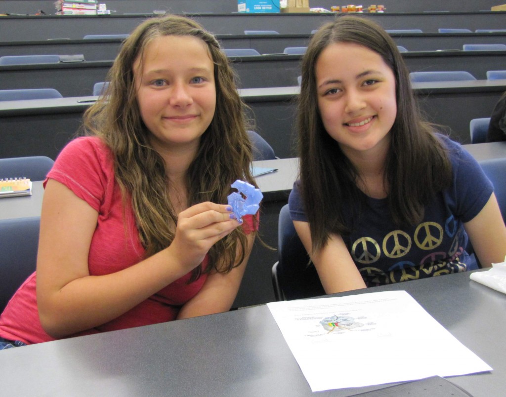 Adventures in STEM campers show off their plant cell organelle printed using the NIMBioS 3D printer.