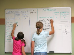 Tremont Girls in Science Campers tabulate their data on a dry erase board.