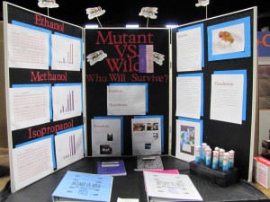 "Mutant vs. Wild: Who Will Survive" received the Junior NIMBioS Prize at the science fair.