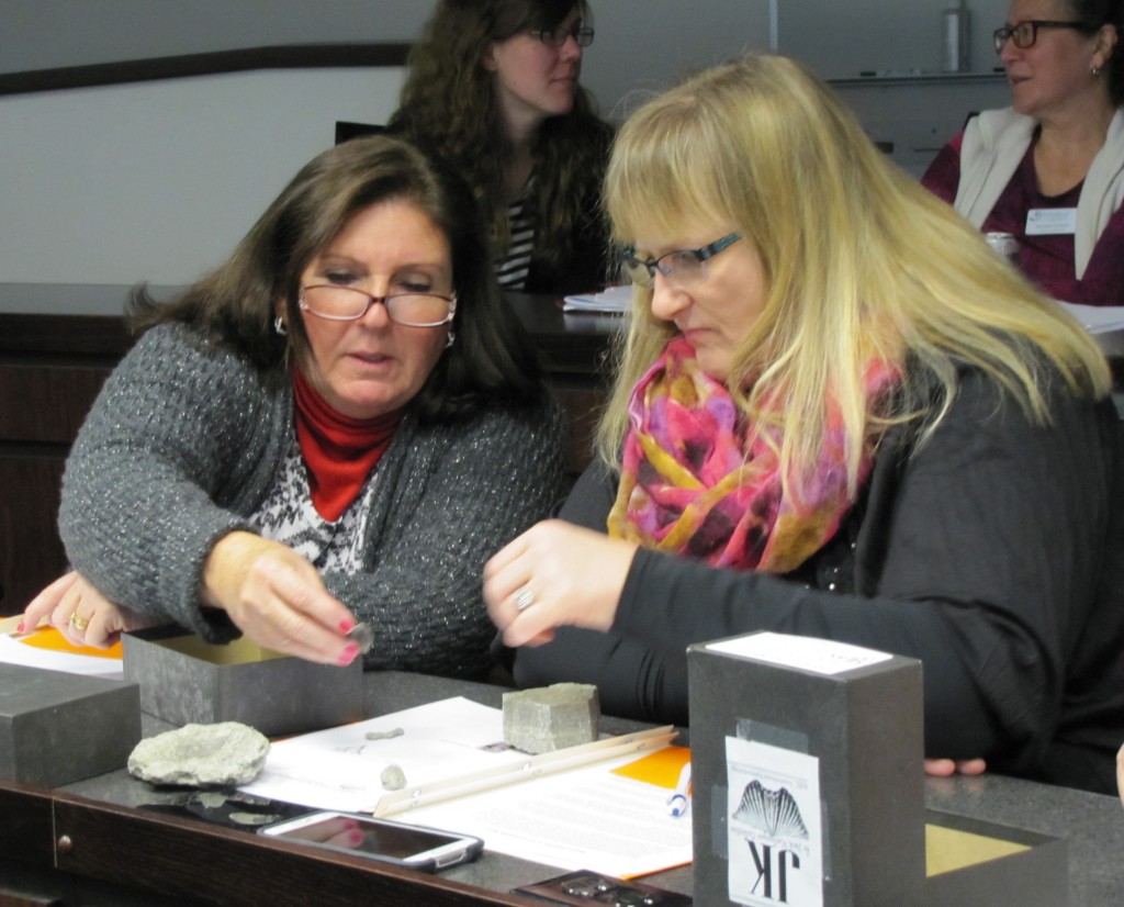 Tennessee teachers inspect and categorize fossils at the Darwin Day Teacher Workshop