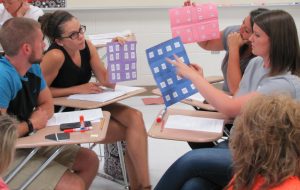 In this lesson, teachers designing animal shelter cage arrangements.